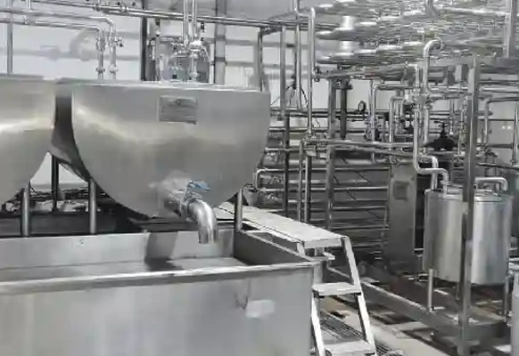300 ltr Bulk milk cooler in india